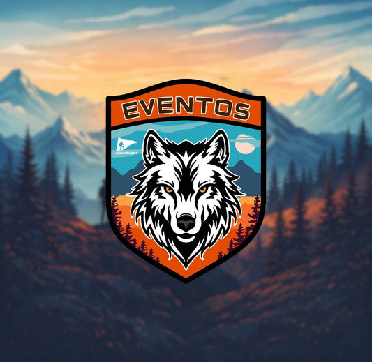 PATCHES SECTORS