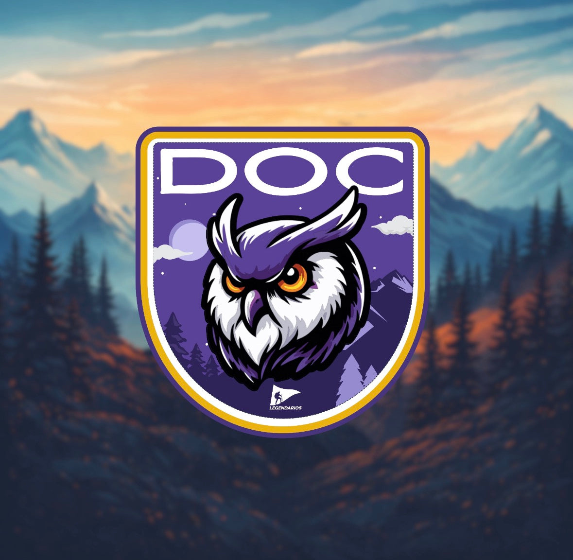 PATCHES SECTORS
