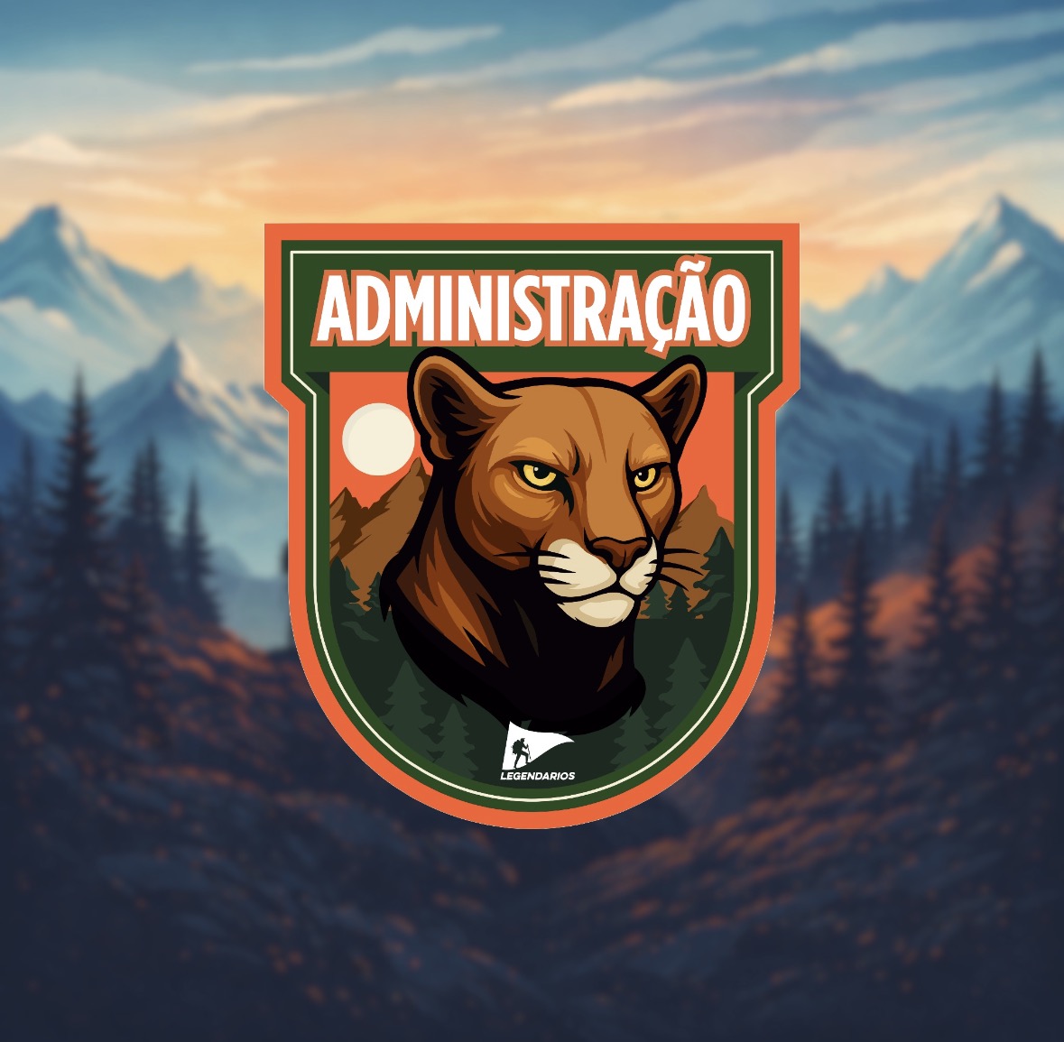 PATCHES SECTORS