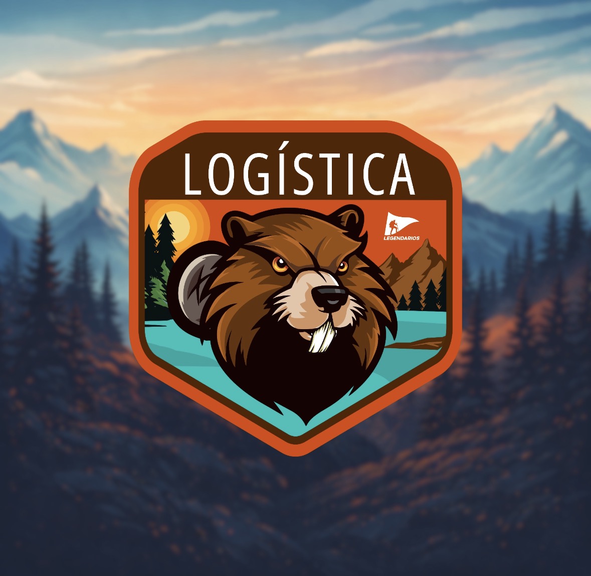 PATCHES SECTORS